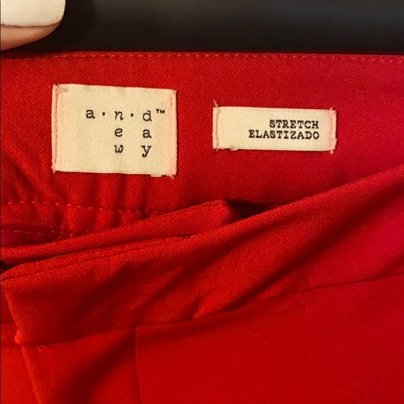 Ankle Pants NWOT - Picture 4 of 6